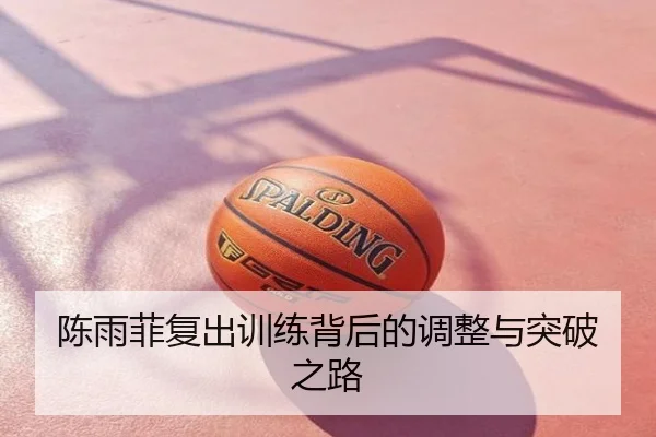陈雨菲复出训练背后的调整与突破之路